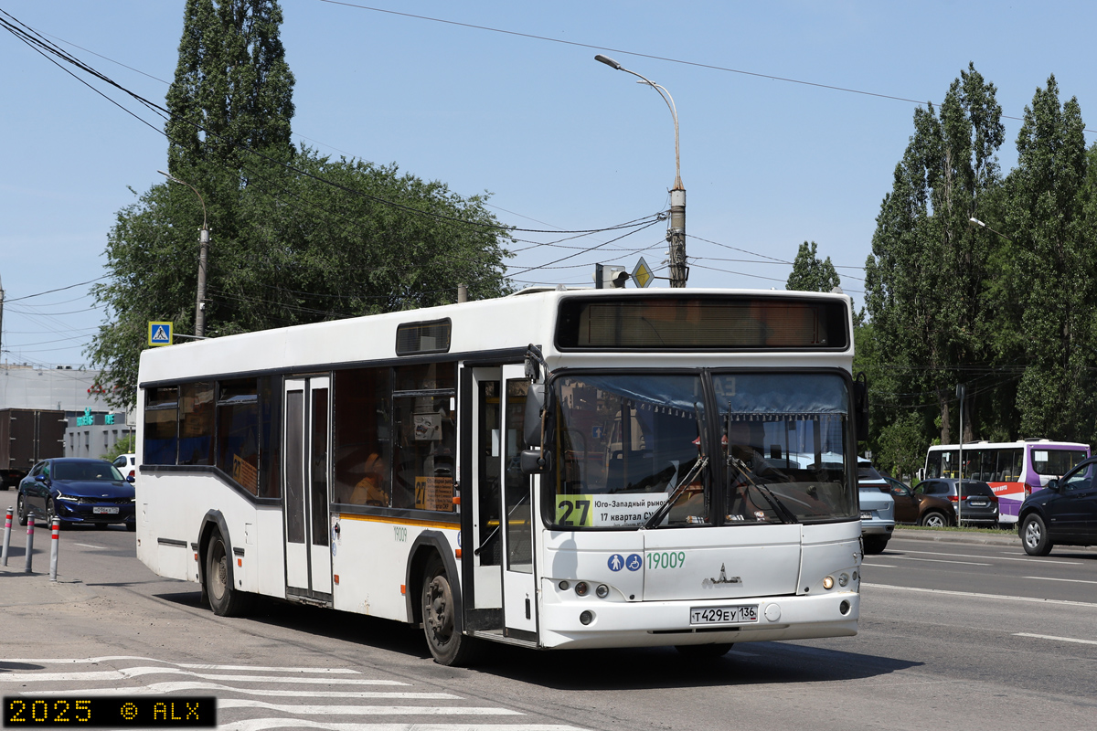 Воронежская область, МАЗ-103.585 № 19009