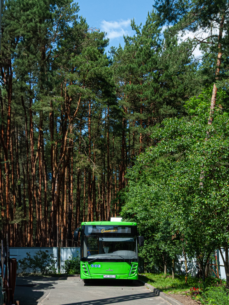 Брестская область, МАЗ-203.147 № АС 3861-1