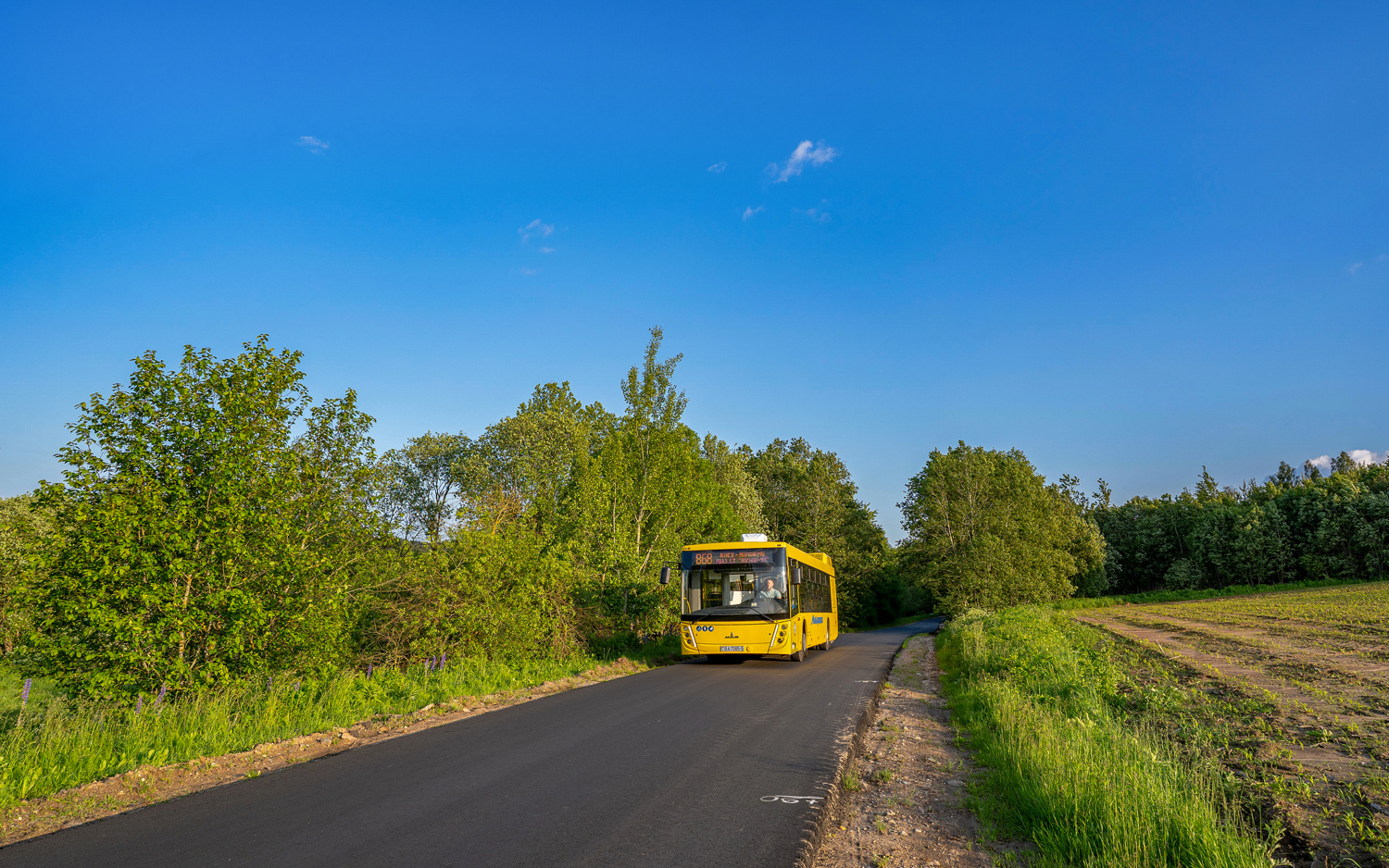 Минская область, МАЗ-203.147 № 20010