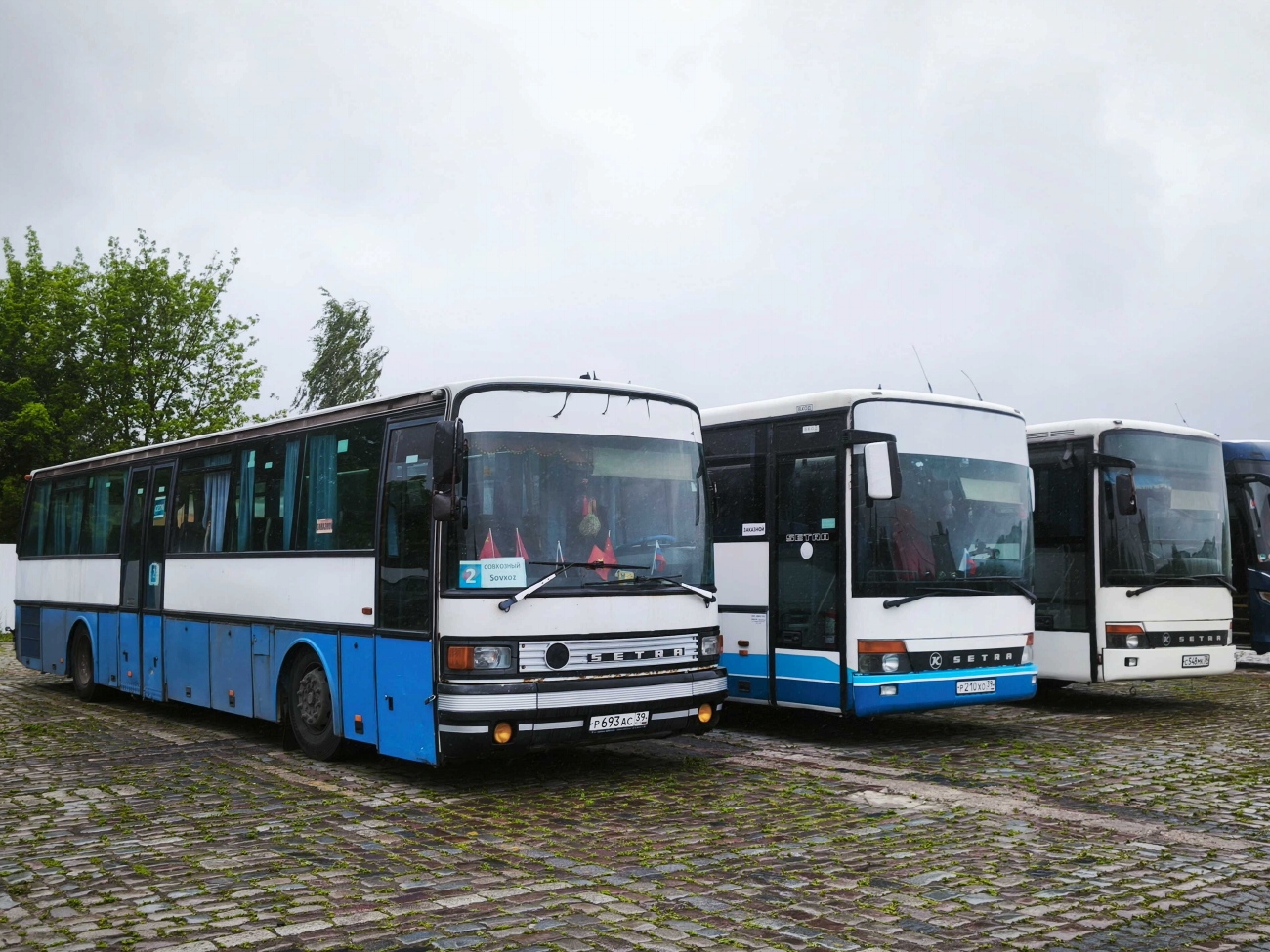 Калининградская область, Setra S215UL № Р 693 АС 39