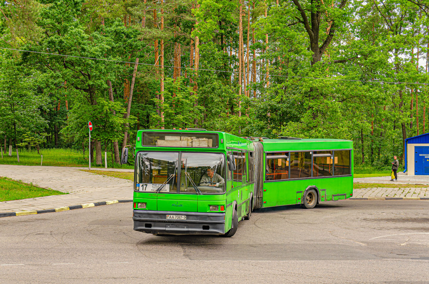 Гомельская область, МАЗ-105.065 № 036102