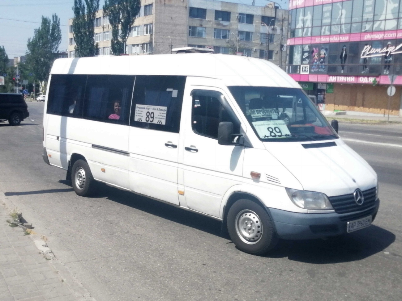 Запорожская область, Mercedes-Benz Sprinter W903 313CDI № AP 3960 EM