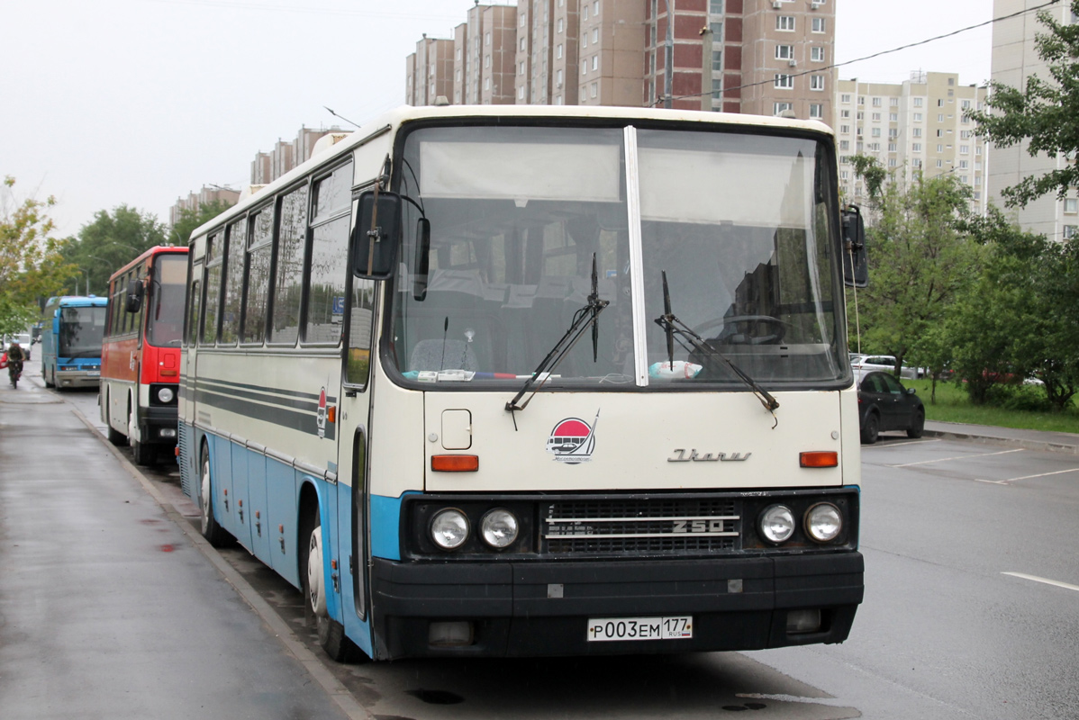 Москва, Ikarus 250.95 № Р 003 ЕМ 177