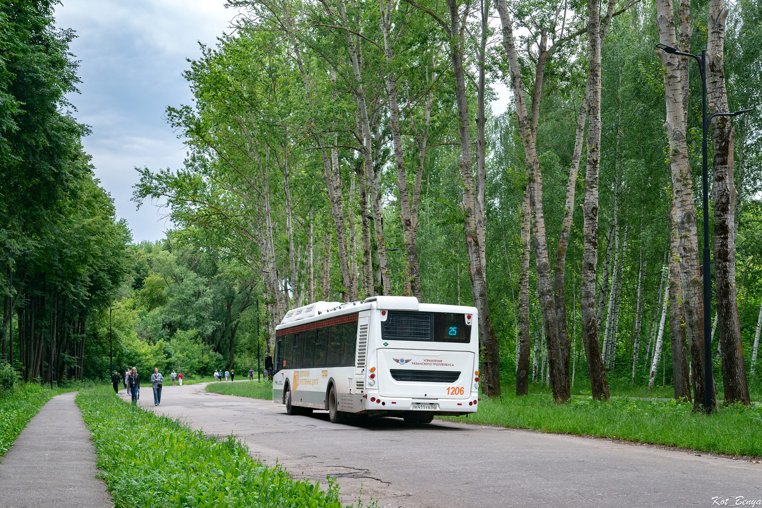 Рязанская область, ЛиАЗ-5292.67 (CNG) № 1206