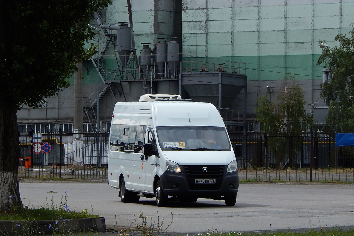 Воронежская область, Луидор-225050 (ГАЗ A65R52, A69R52) № В 443 ЕН 136