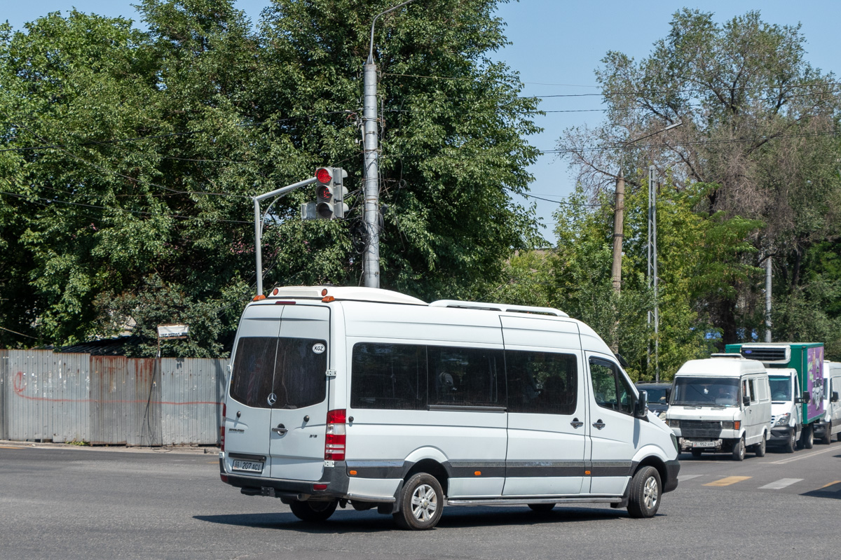 Кыргызстан, Mercedes-Benz Sprinter W906 319CDI № 01 207 ACI