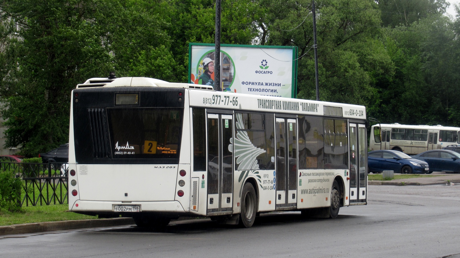 Ленинградская область, МАЗ-203.069 № Е 002 РМ 198