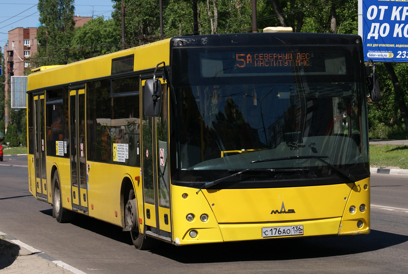 Воронежская область, МАЗ-203.067 № С 176 АО 136 Воронежская область, МАЗ-203.067 № С 176 АО 136