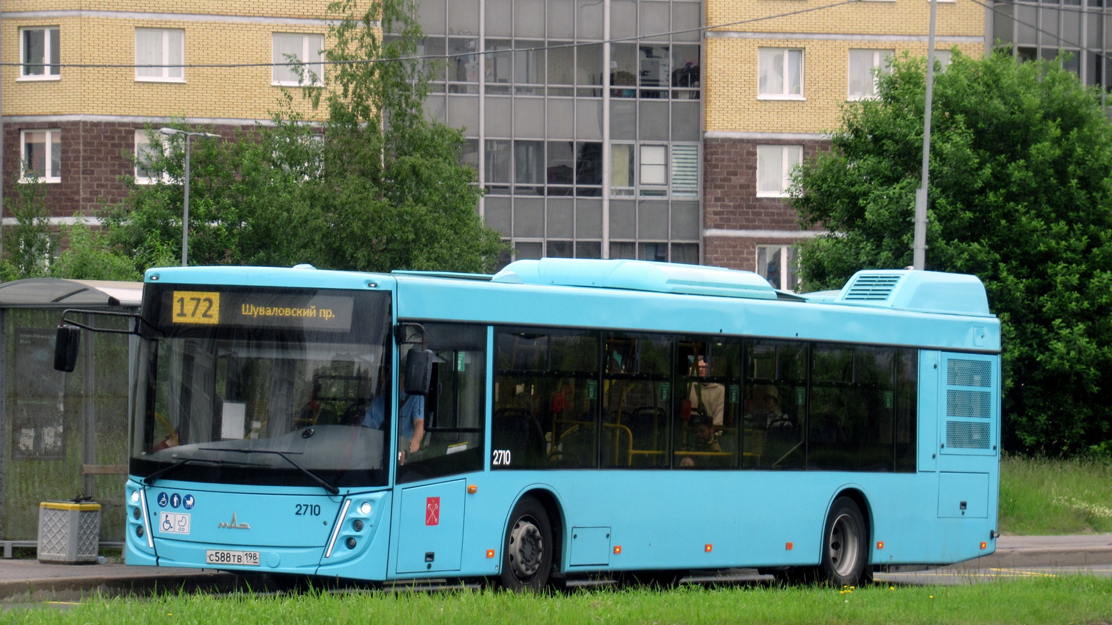 Sankt Petersburg, MAZ-203.047 Nr. 2710