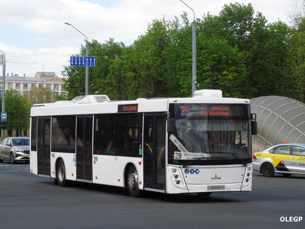 Могилёвская область, МАЗ-203.047 № 1102