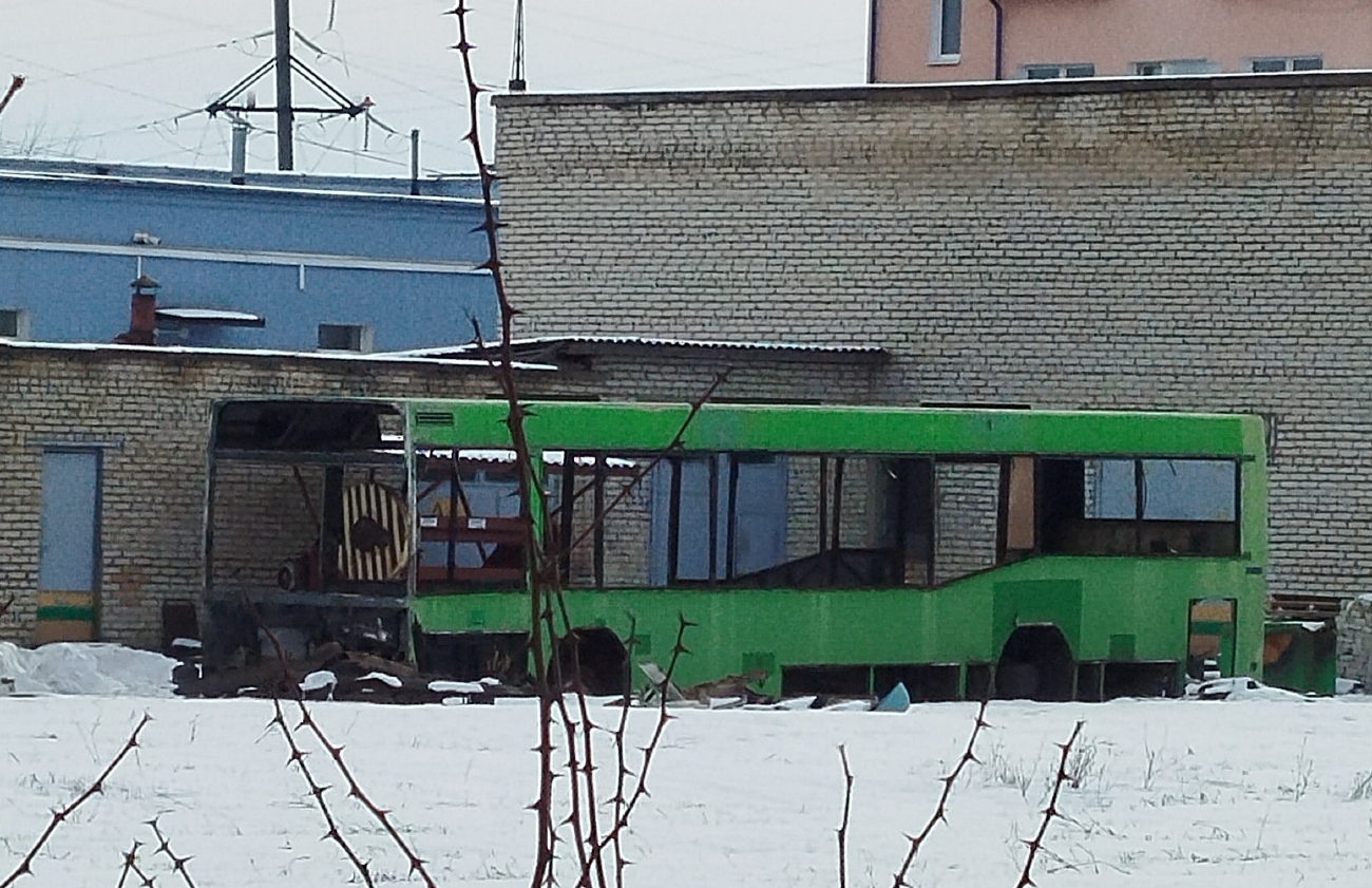 Гродненская область, МАЗ-104.021 № 010250