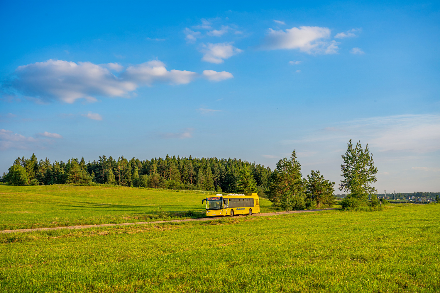Минская область, МАЗ-203.147 № 20042