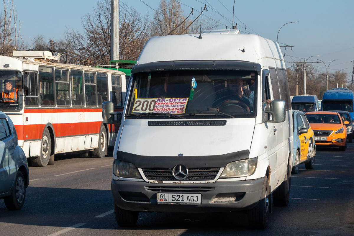 Кыргызстан, Kusters № 01 521 AGJ