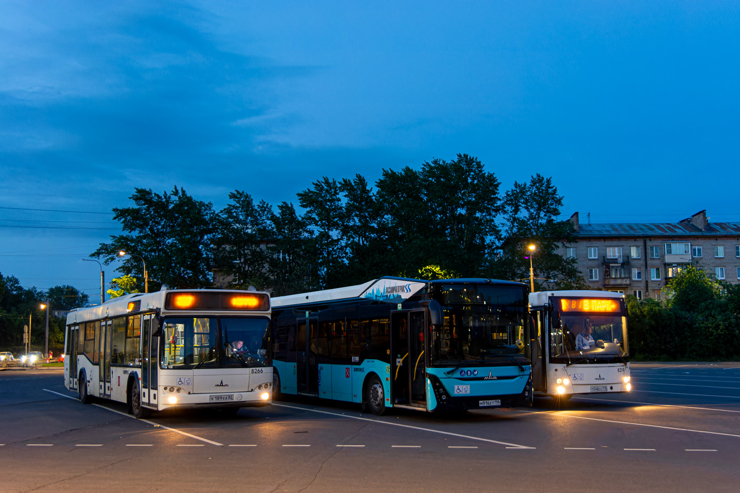 Санкт-Петербург, МАЗ-103.486 № 8266 Санкт-Петербург, МАЗ-103.486 № 8266