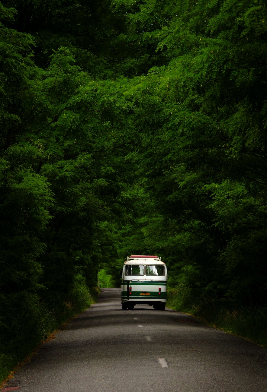 Житомирская область, ЛАЗ-695Н № AM 0961 AA