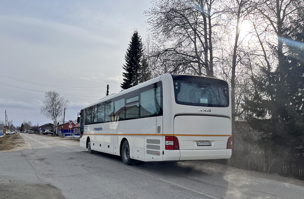 Томская область, MAN R60 Lion's Intercity ÜL290 № К 177 ТУ 70