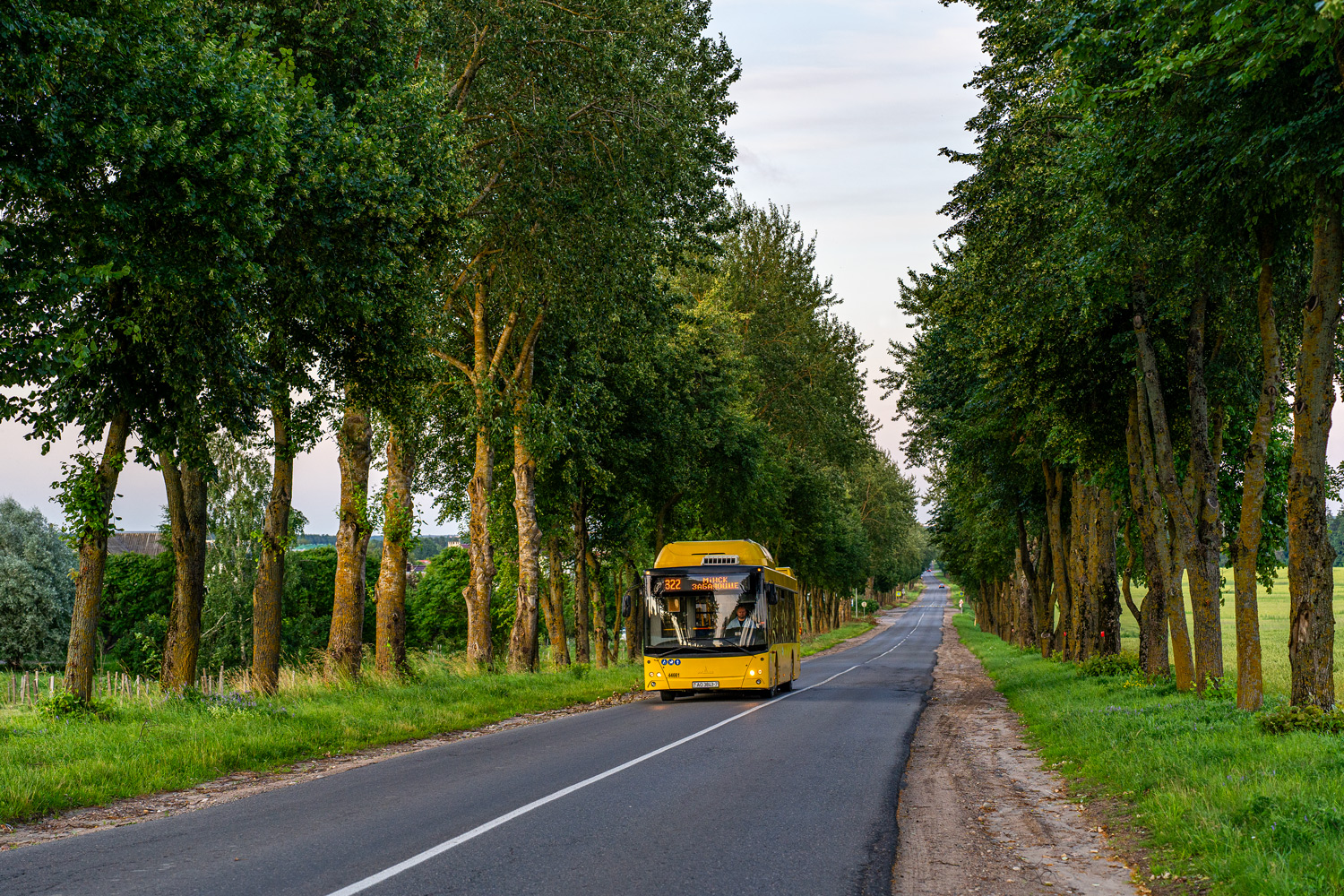 Минск, МАЗ-203.С65 № 044661