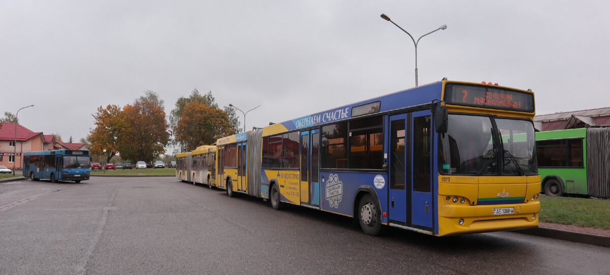 Grodno region, MAZ-104.021 # 010261; Grodno region, MAZ-215.069 # 011520; Grodno region, MAZ-105.465 # 011373