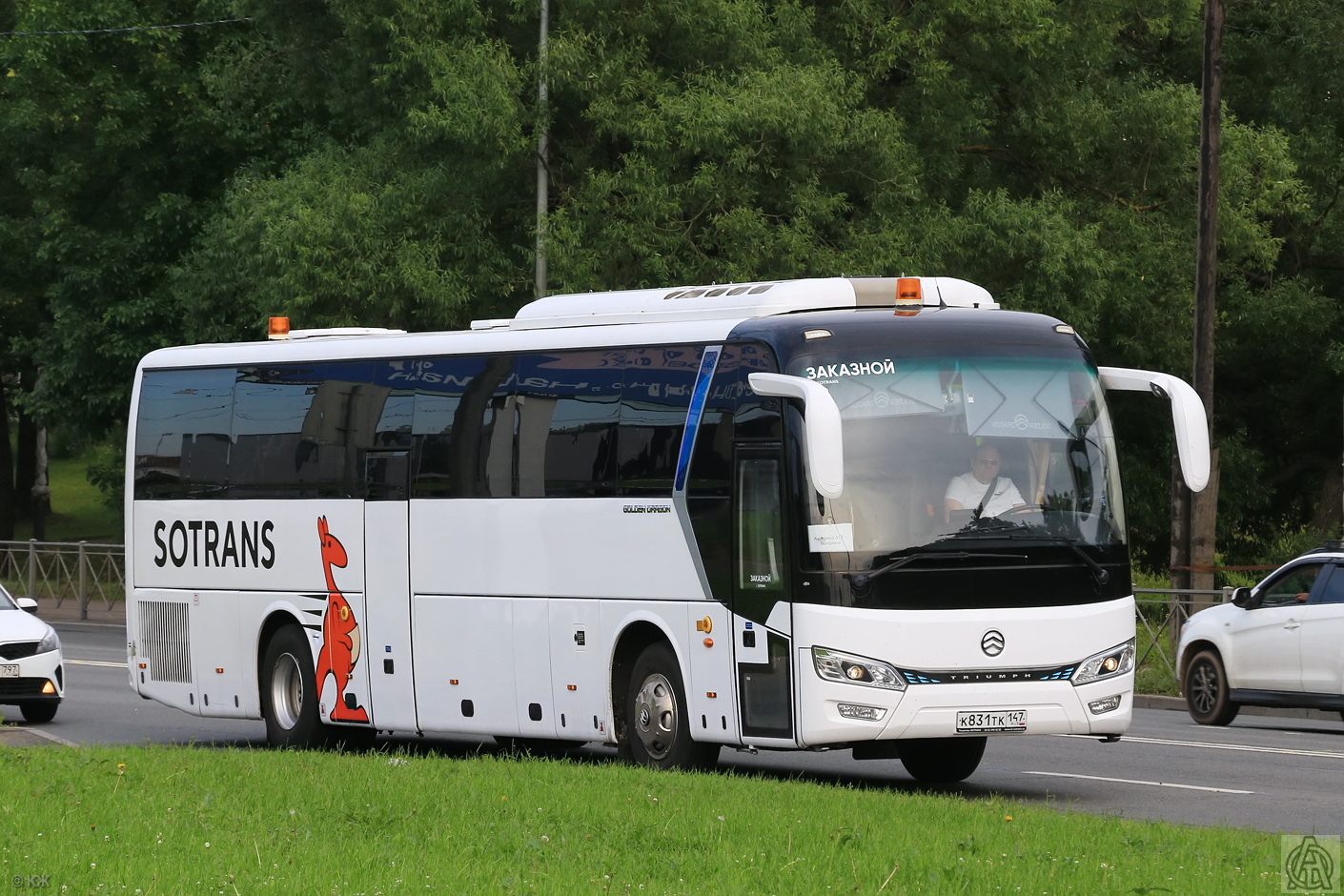 Ленинградская область, Golden Dragon XML6122J Triumph № К 831 ТК 147