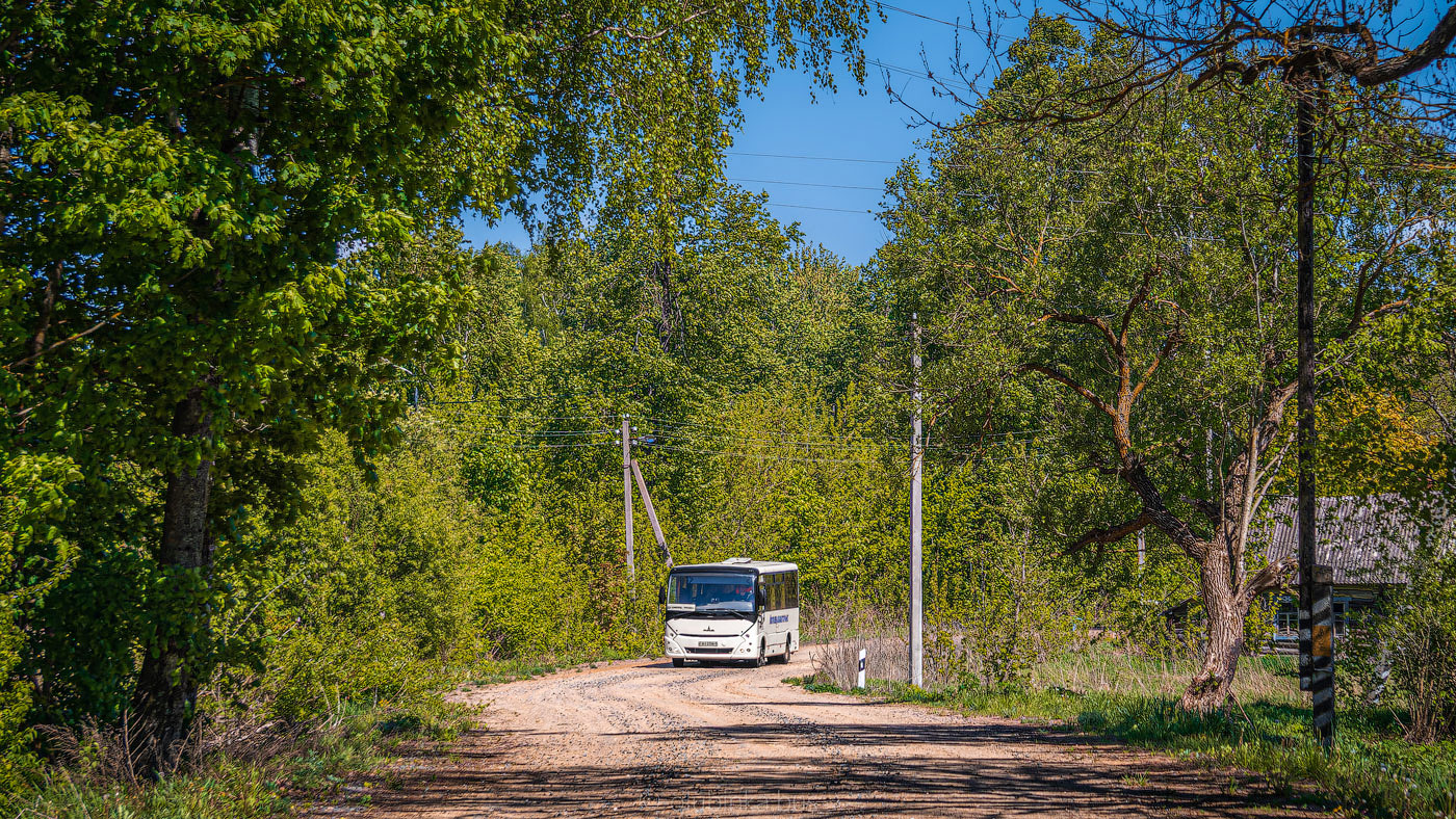 Могилёвская область, МАЗ-241.000 № АІ 3104-6