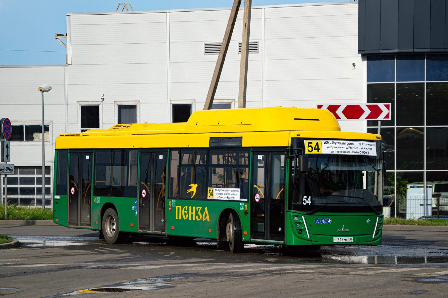 Пензенская область, МАЗ-203.948 № Т 219 МХ 58