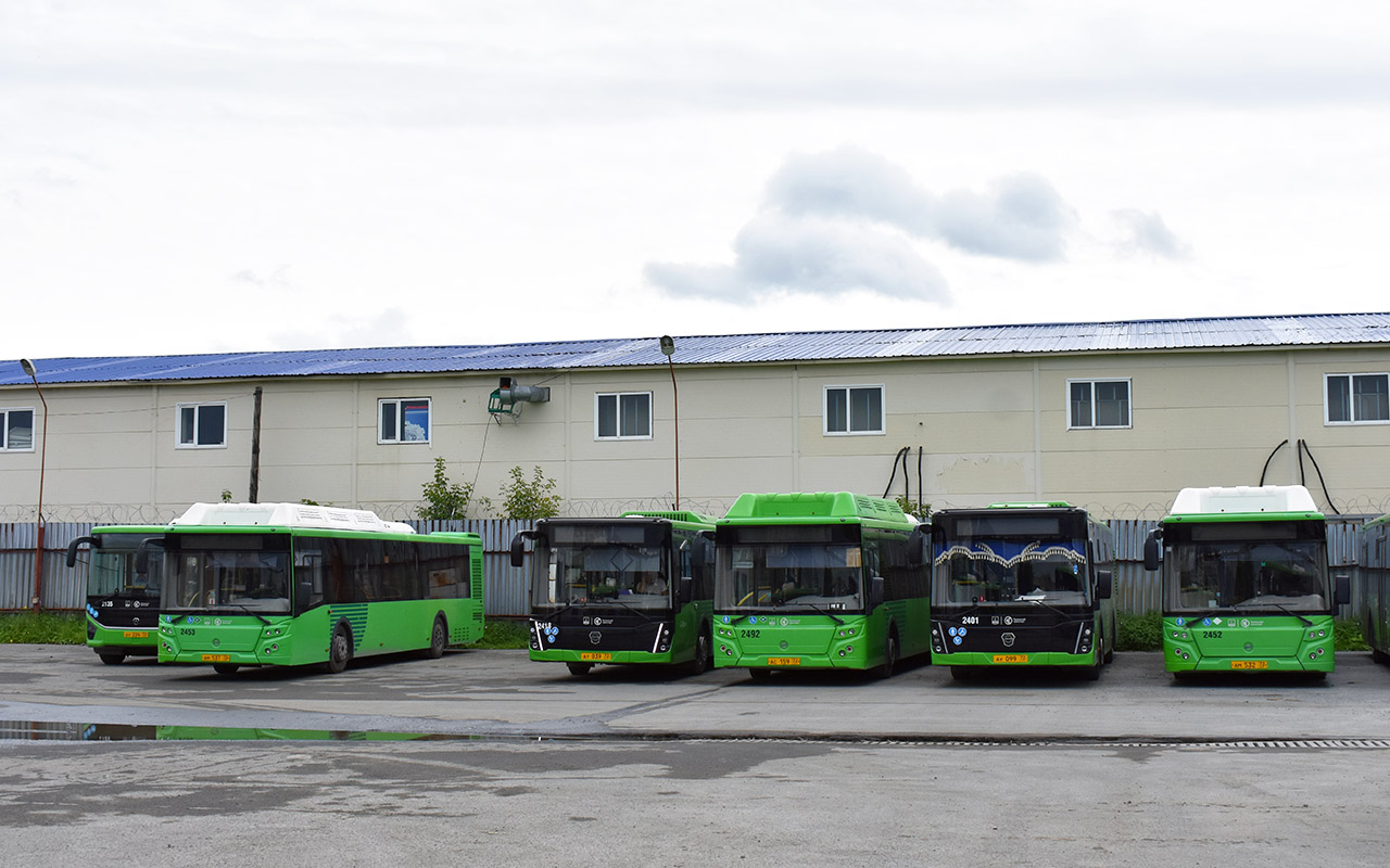 Тюменская область, ЛиАЗ-5292.67 (CNG) № 2453; Тюменская область, ЛиАЗ-5292.65 № 2401; Тюменская область, ЛиАЗ-5292.67 (CNG) № 2452; Тюменская область — Автобусные предприятия Тюменская область, ЛиАЗ-5292.67 (CNG) № 2453; Тюменская область, ЛиАЗ-5292.65 № 2401; Тюменская область, ЛиАЗ-5292.67 (CNG) № 2452; Тюменская область — Автобусные предприятия