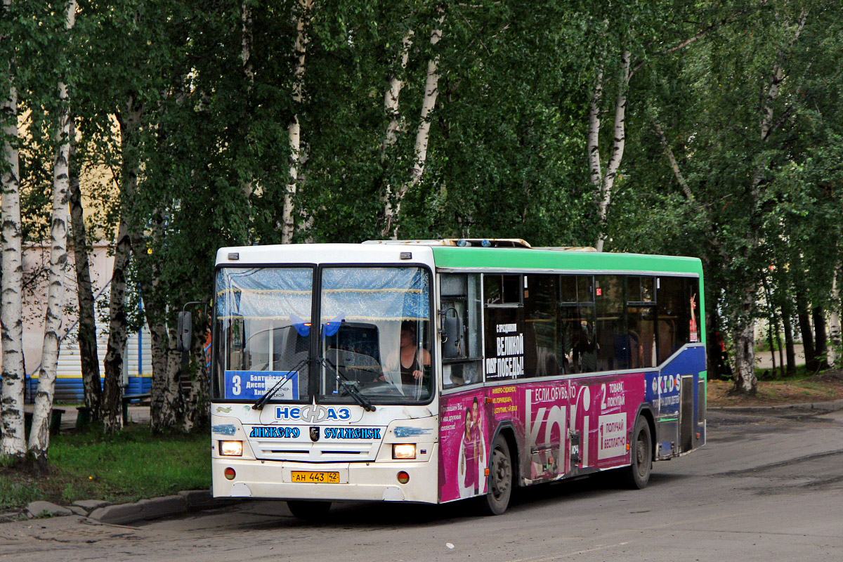 Кемеровская область - Кузбасс, НефАЗ-5299-10-15 № 48