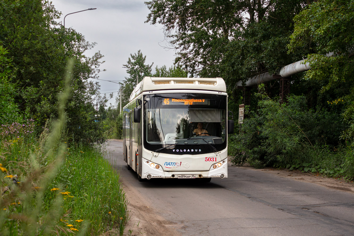 Вологодская область, Volgabus-5270.G4 (CNG) № 5031