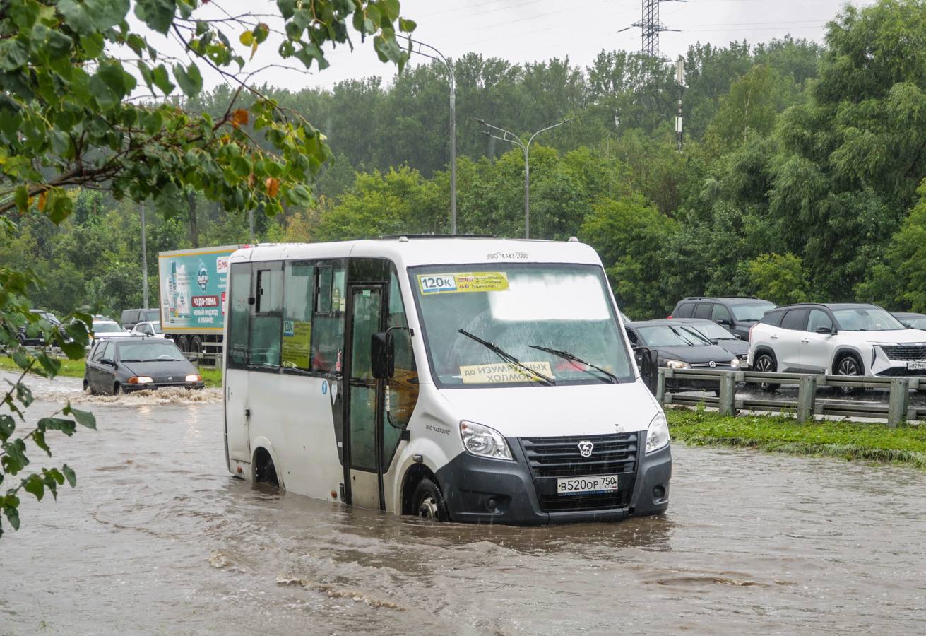 Московская область, ГАЗ-A64R42 Next № В 520 ОР 750