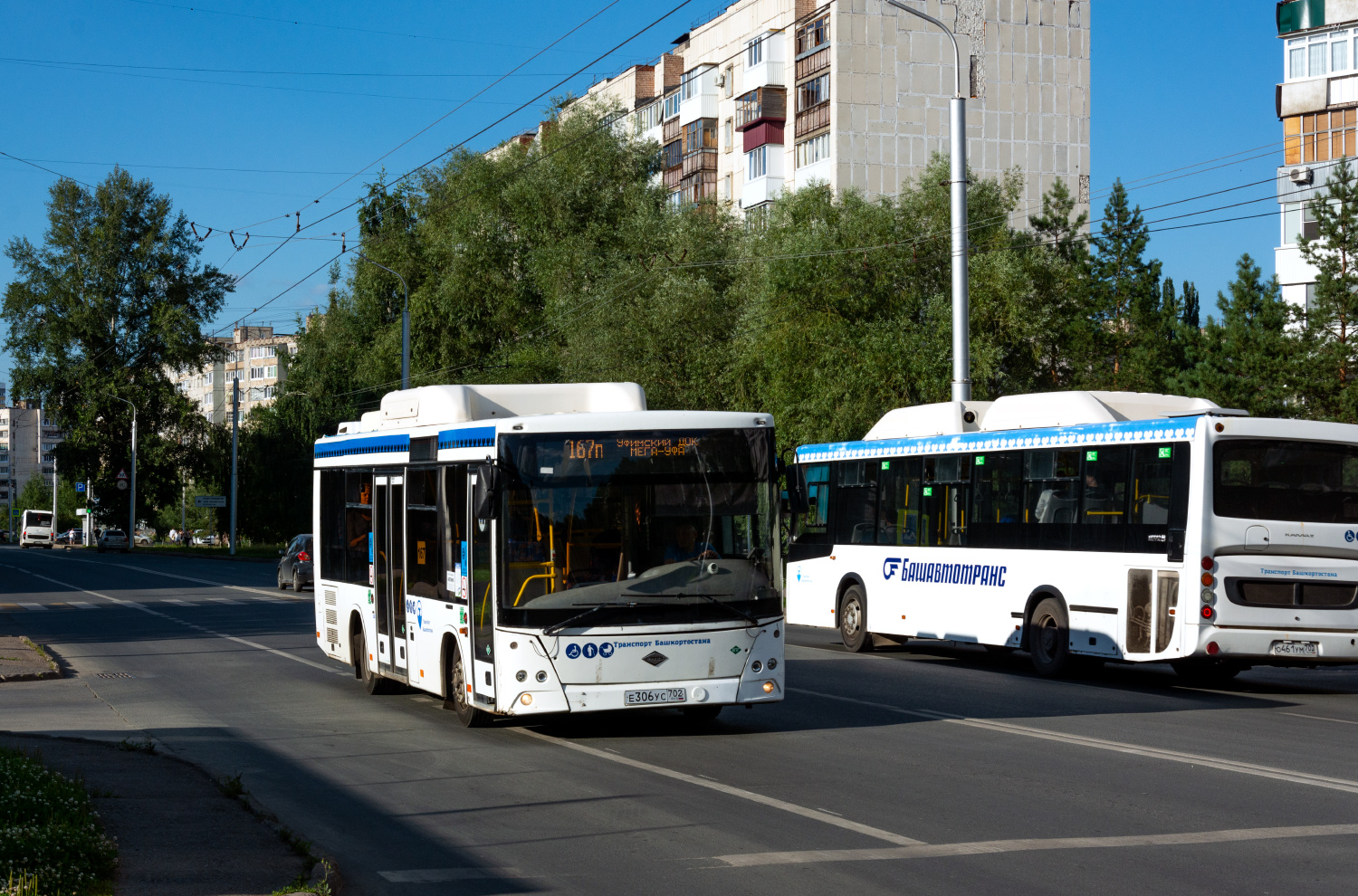 Башкортостан, Lotos-206 № 19