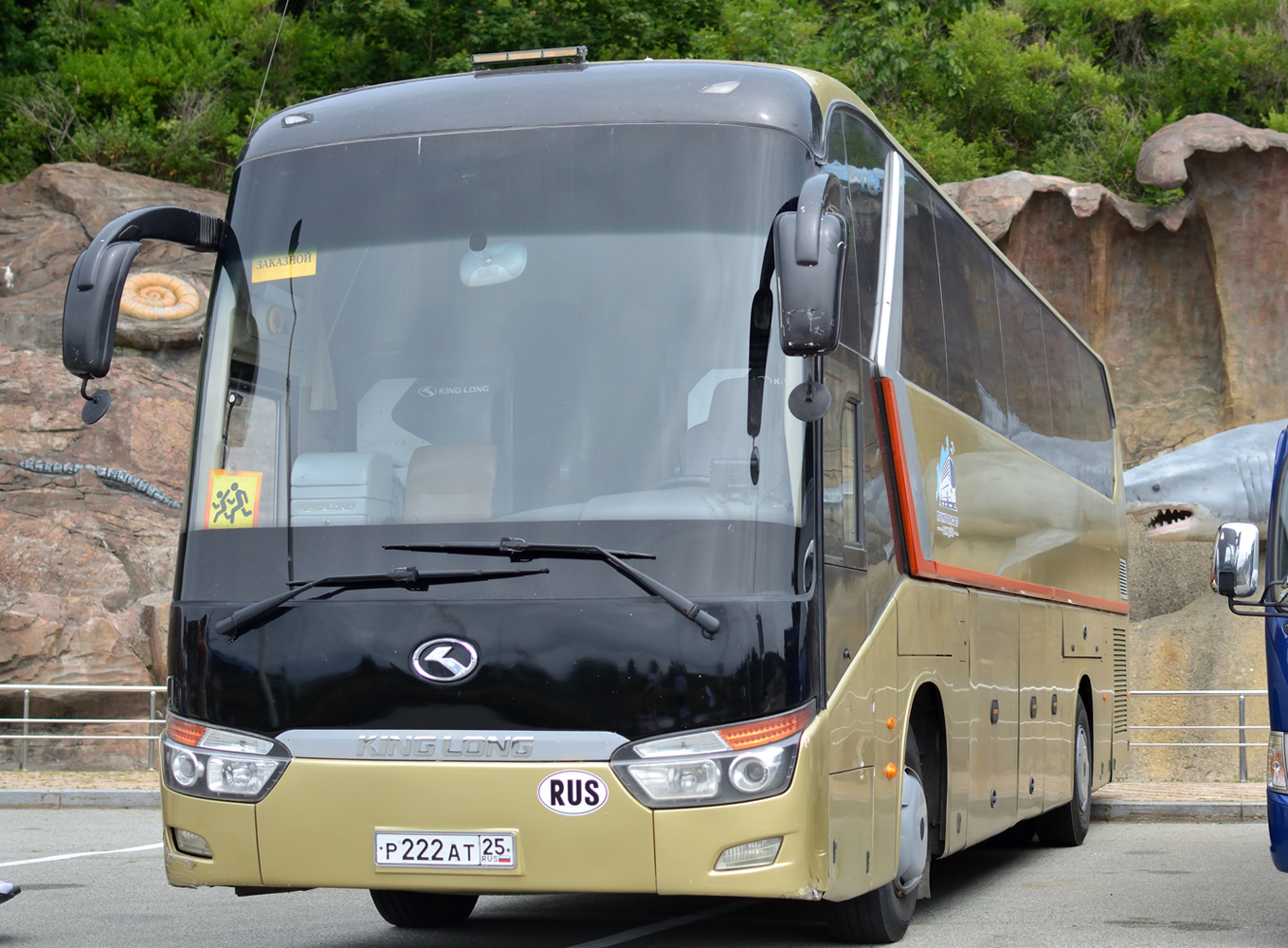 Приморский край, King Long XMQ6129Y № Р 222 АТ 25 Приморский край, King Long XMQ6129Y № Р 222 АТ 25