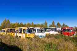 Moskau, LiAZ-677M # 07867; Moskau, LiAZ-677M # Н 517 ХЕ 77; Ulyanovsk region, LiAZ-677M # Е 754 АМ 73; Moskauer Gebiet — Miscellaneous photos