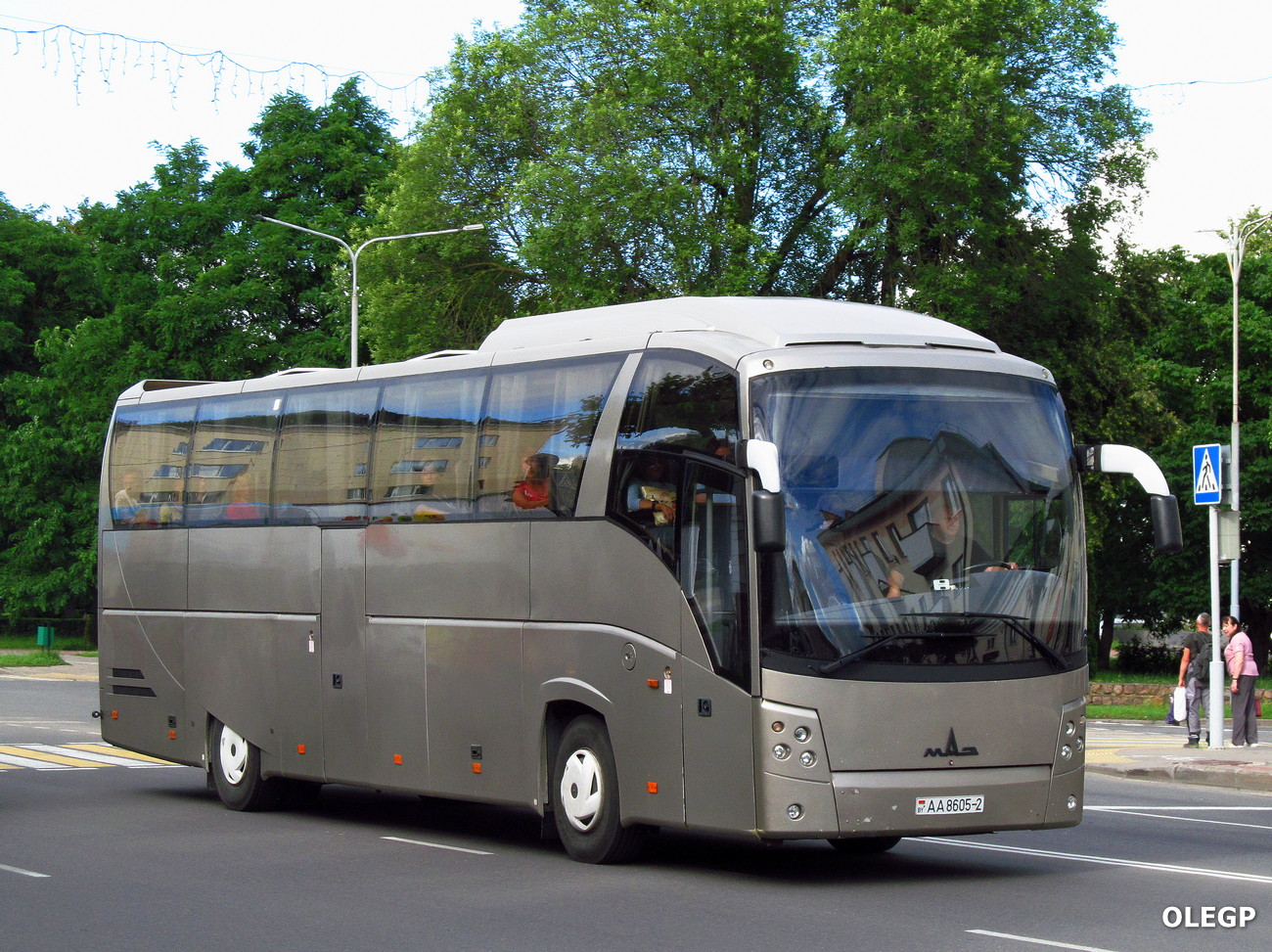 Витебская область, МАЗ-251.050 № АА 8605-2