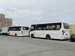 2336 КБ