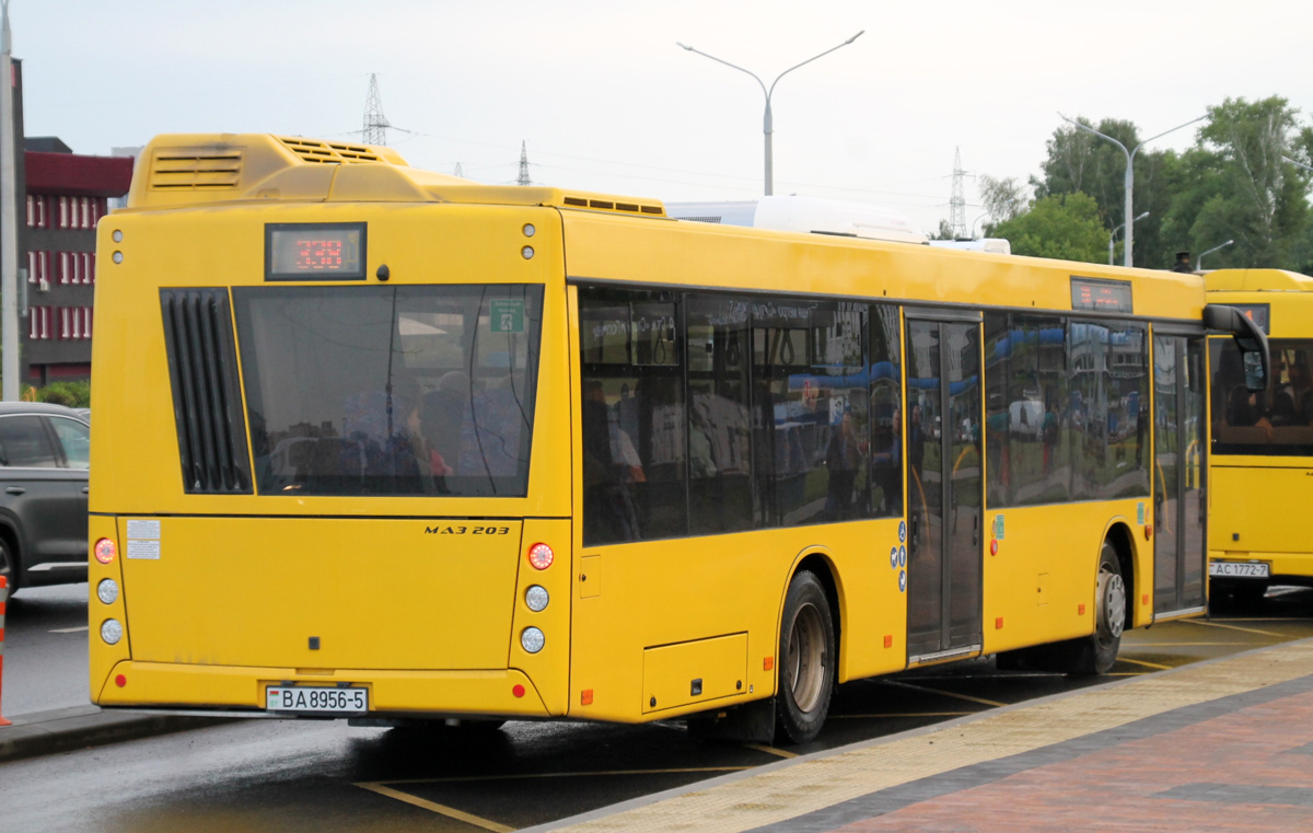 Минская область, МАЗ-203.147 № ВА 8956-5