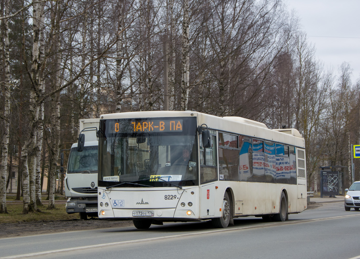 Санкт-Петербург, МАЗ-203.085 № 8229