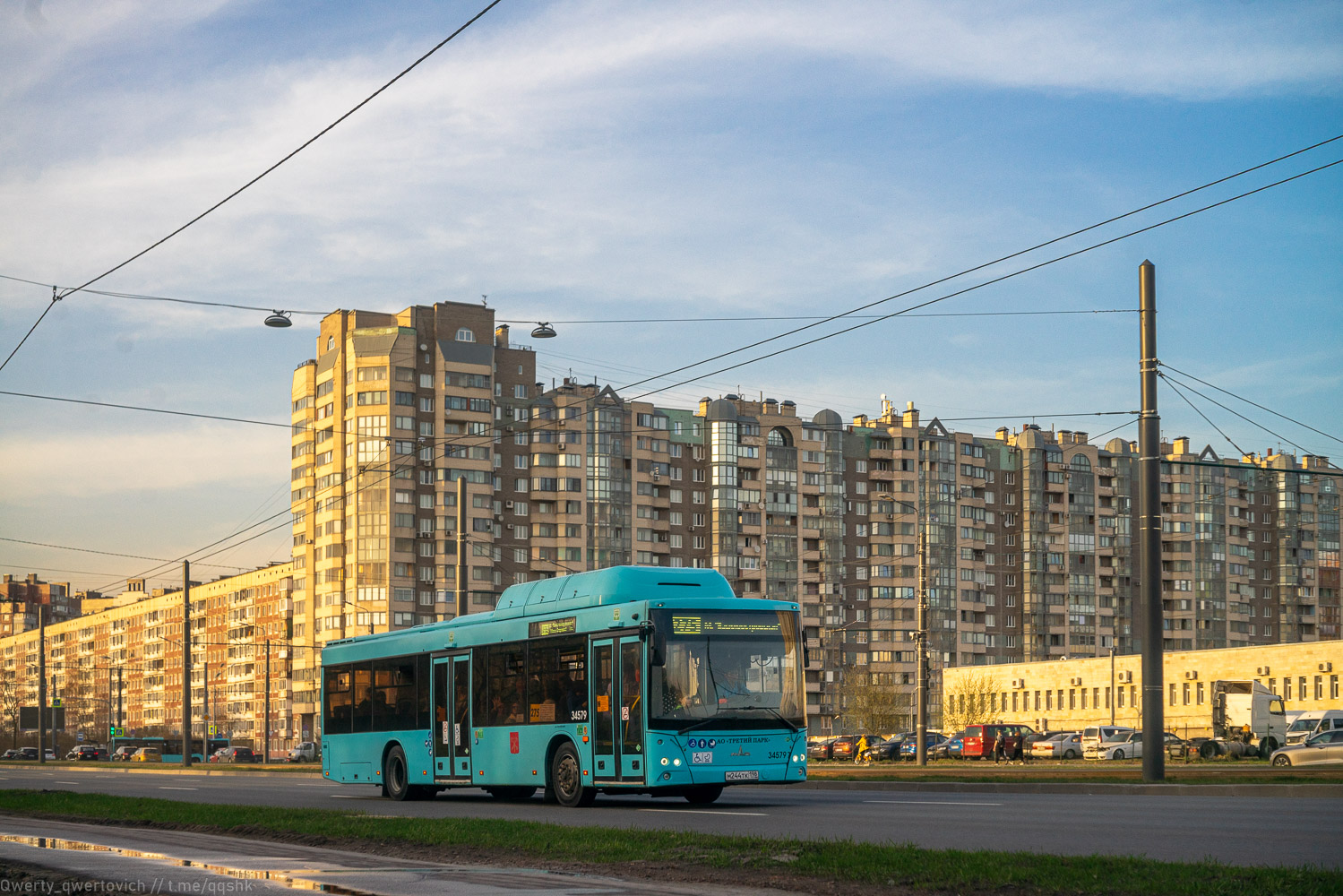 Санкт-Петербург, МАЗ-203.C46 № 34579