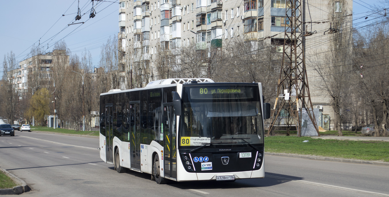 Воронежская область, НефАЗ-5299-30-52 № 13119