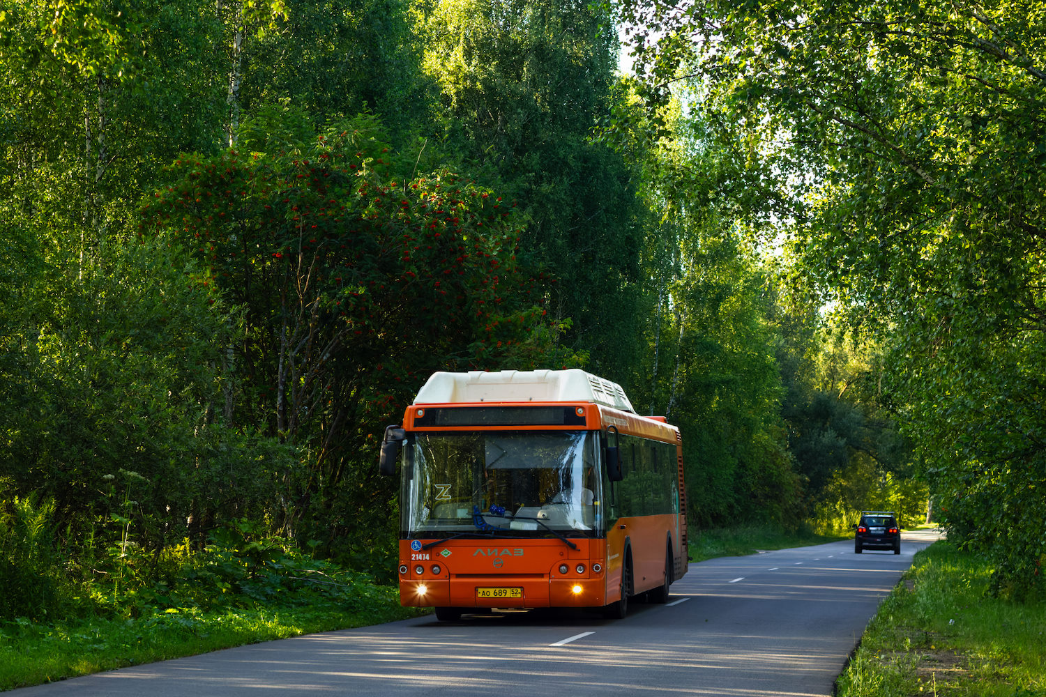 Нижегородская область, ЛиАЗ-5292.67 (CNG) № 21474