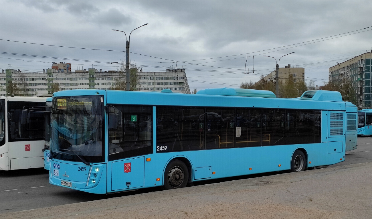 Sankt Petersburg, MAZ-203.047 Nr. 2459