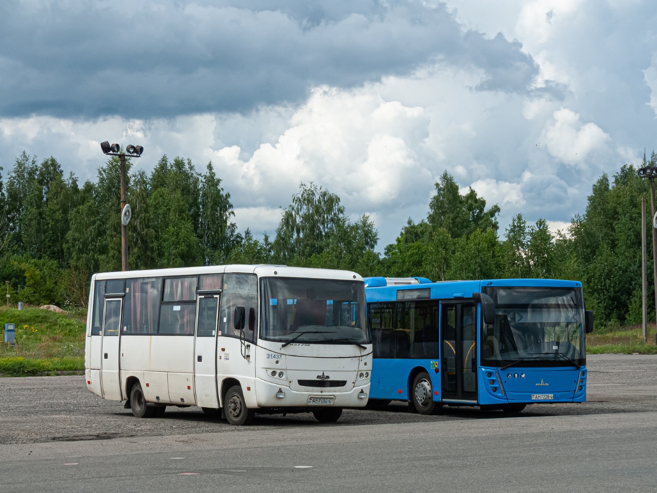 Гродненская область, МАЗ-256.270 № 31437 Гродненская область, МАЗ-256.270 № 31437