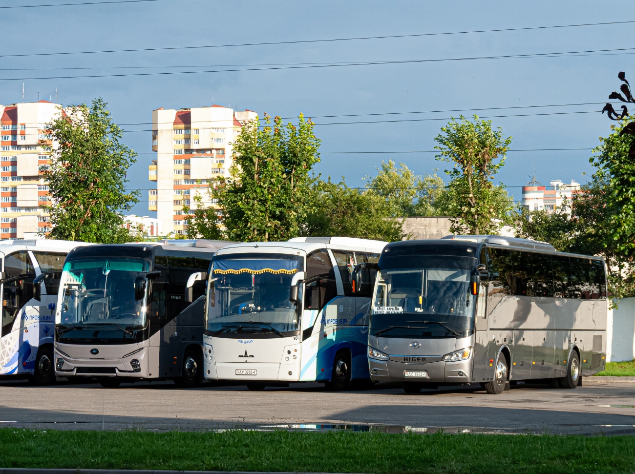 Брестская область, Higer KLQ6128LQ № 971