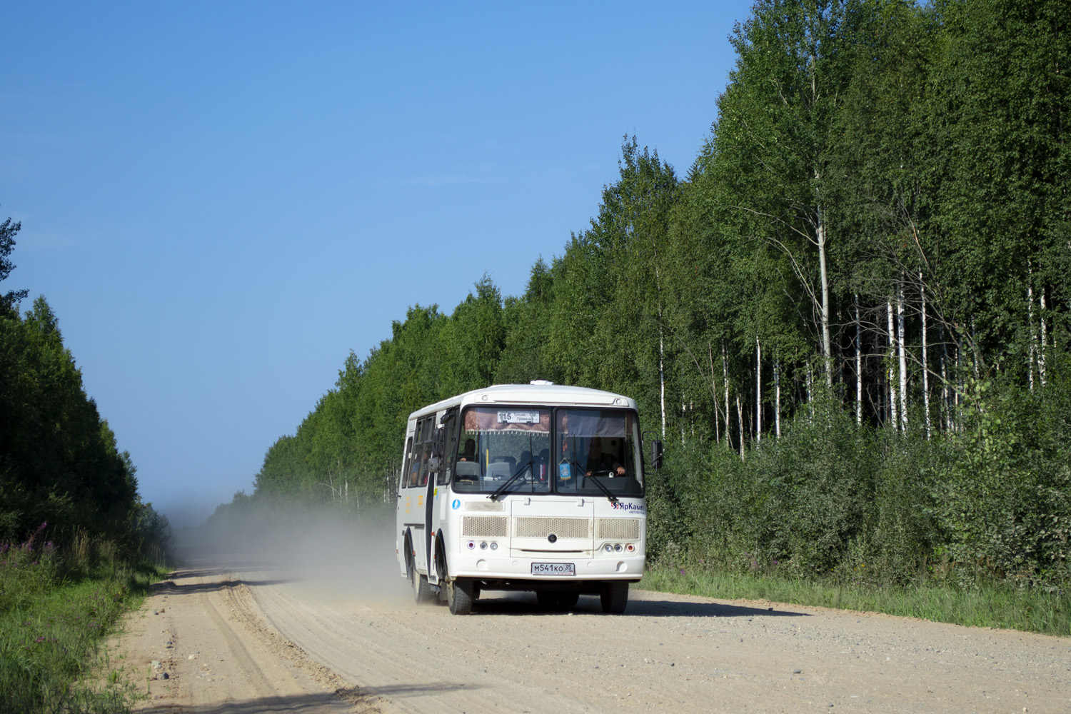 Вологодская область, ПАЗ-320530-04 № М 541 КО 35