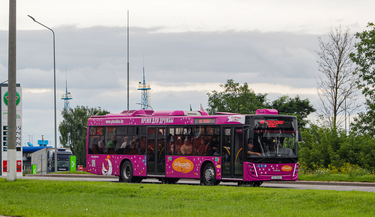 Брестская область, МАЗ-203.147 № АС 2049-1