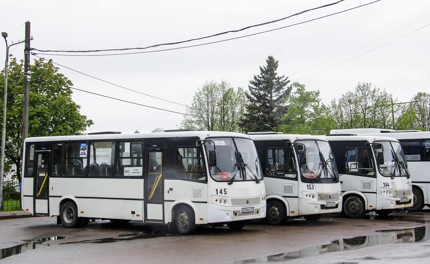 Ленинградская область, ПАЗ-320412-05 "Вектор" № 145