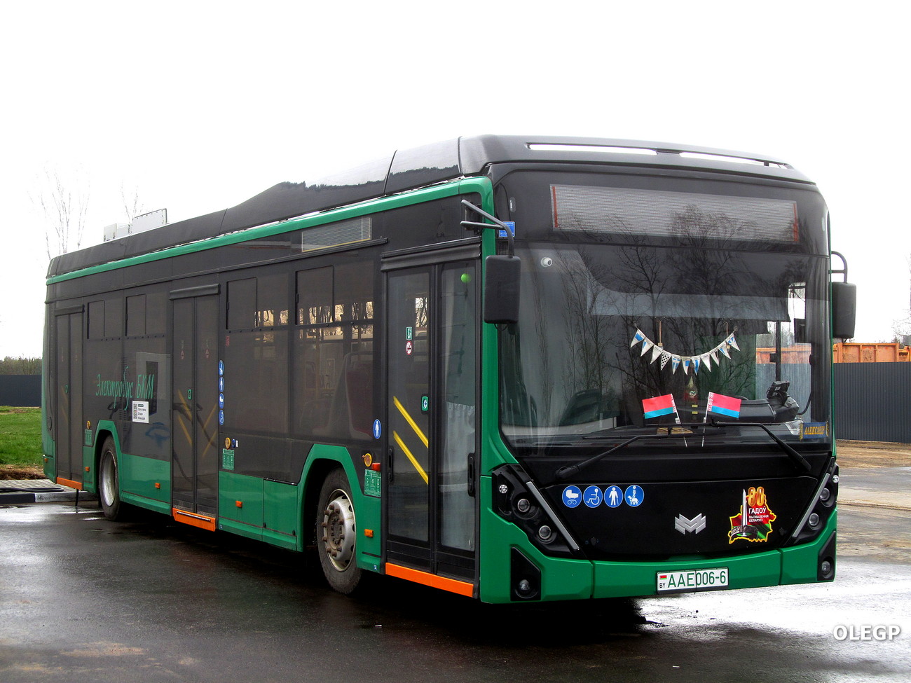 Могилёвская область, БКМ E321 "Ольгерд" № 10203