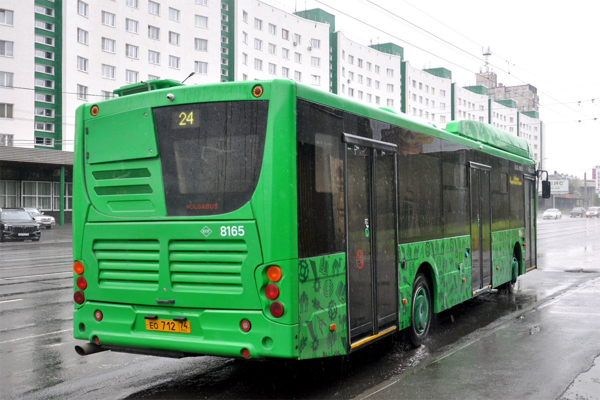 Челябинская область, Volgabus-5270.G2 (CNG) № 8165
