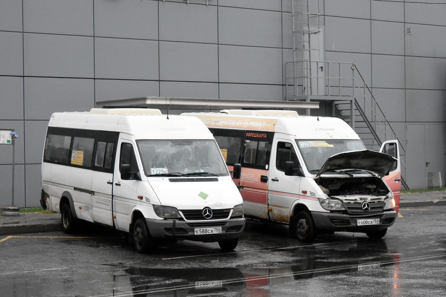 Московская область, Луидор-223237 (MB Sprinter Classic) № 016629