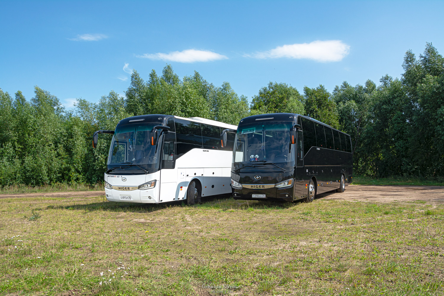 Калининградская область, Higer KLQ6128LQ № Т 298 ЕЕ 39