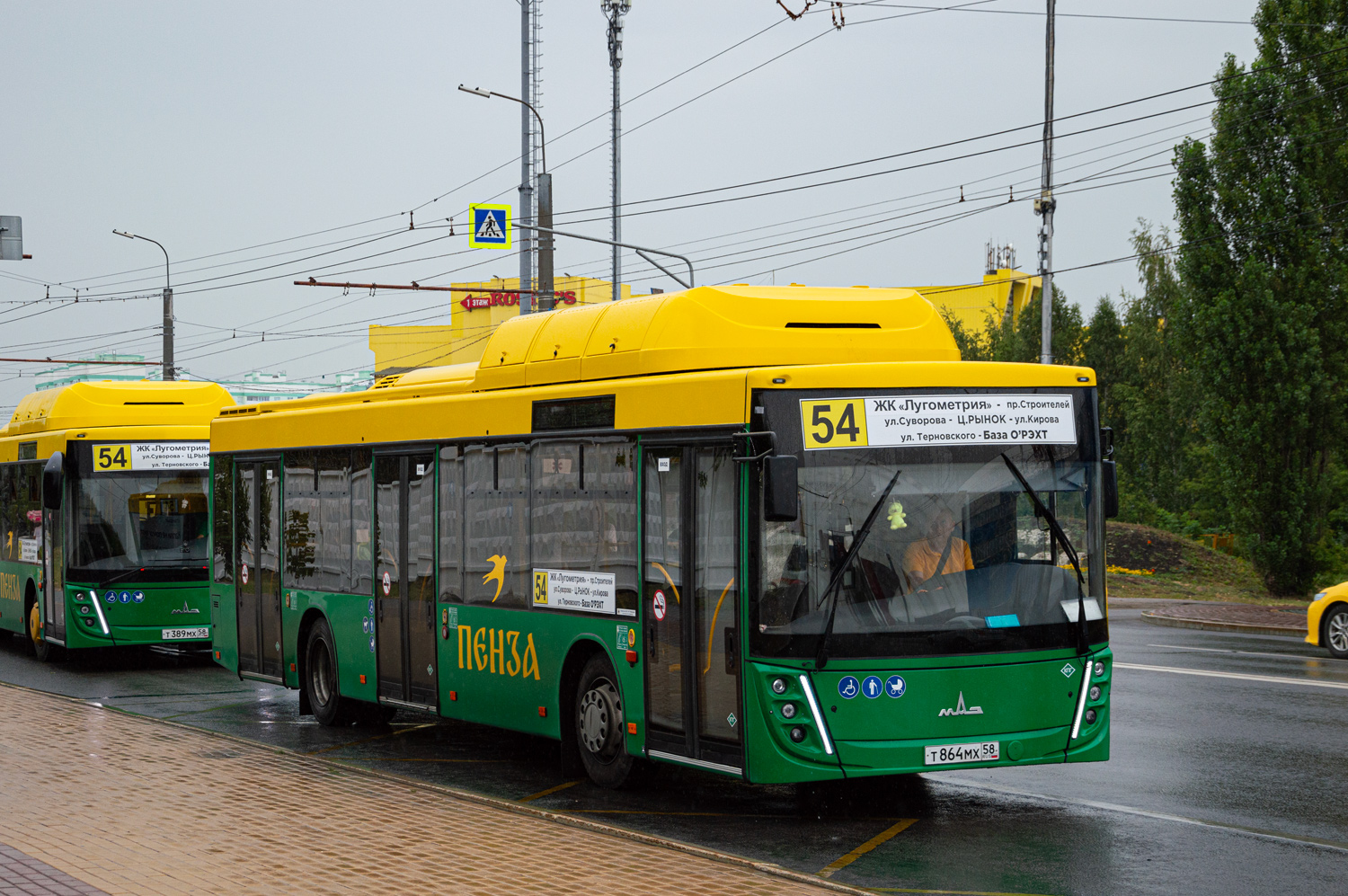 Пензенская область, МАЗ-203.948 № Т 864 МХ 58 Пензенская область, МАЗ-203.948 № Т 864 МХ 58